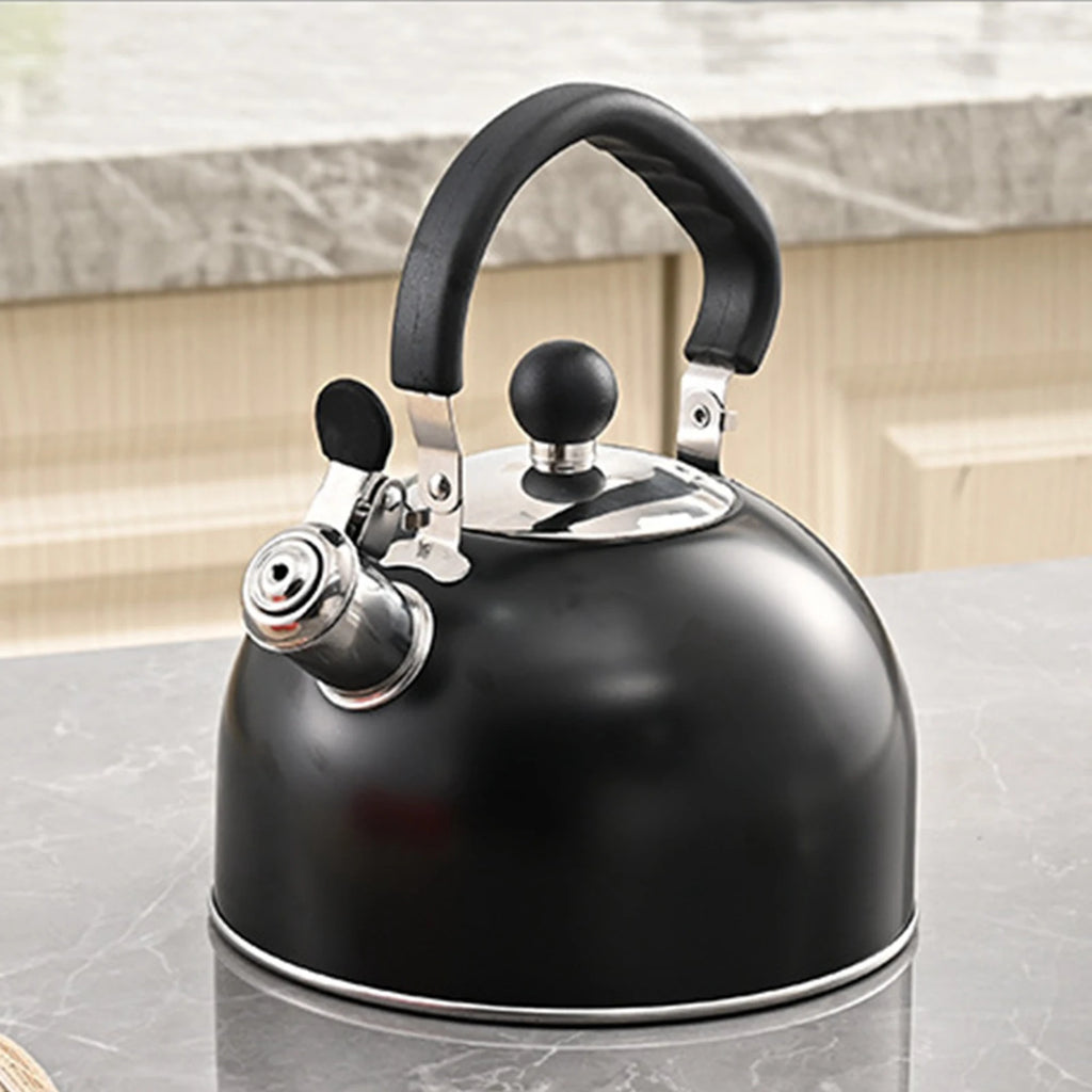 2.5L Stainless Steel Whistling Kettle with Folding Handle Modern Cookware Tea Maker for Indoor BBQ Fishing Camping Hiking