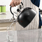 2.5L Stainless Steel Whistling Kettle with Folding Handle Modern Cookware Tea Maker for Indoor BBQ Fishing Camping Hiking