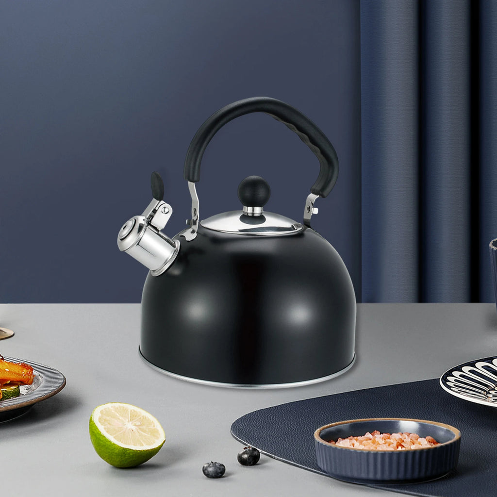 2.5L Stainless Steel Whistling Kettle with Folding Handle Modern Cookware Tea Maker for Indoor BBQ Fishing Camping Hiking