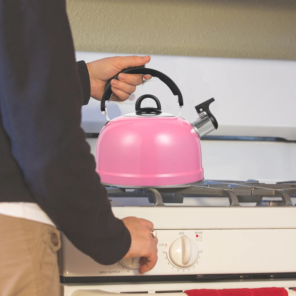 Stainless Steel Stove Top Kettles Hot Pot Practical Whistling Tea Handle Pot Boiling Water Gas Stove Heating for Travel camping